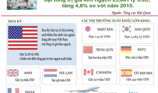 Overview of export activities of garment group in 2016