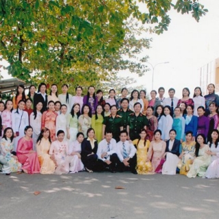 Company organization