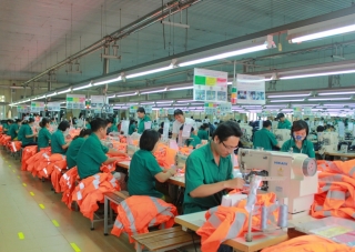 Domestic garment market: Fashion wins, materials throne