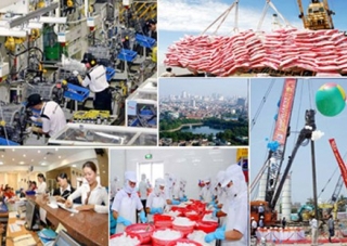 Sử dụng hiệu quả, bền vững các nguồn lực của đất nước