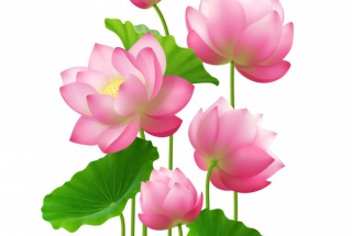 TUYỂN DỤNG NHÂN VIÊN XNK VÀ NHÂN VIÊN THEO DÕI ĐƠN HÀNG TUYỂN DỤNG NHÂN VIÊN XNK VÀ NHÂN VIÊN THEO DÕI ĐƠN HÀNG