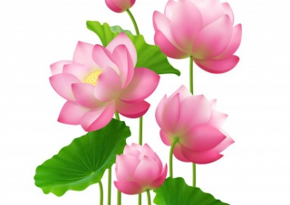 TUYỂN DỤNG NHÂN VIÊN XNK VÀ NHÂN VIÊN THEO DÕI ĐƠN HÀNG TUYỂN DỤNG NHÂN VIÊN XNK VÀ NHÂN VIÊN THEO DÕI ĐƠN HÀNG